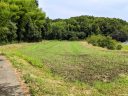 未利用地や低利用地の土地活用をどう考えればいいのか？～改めて土地活用について考える～